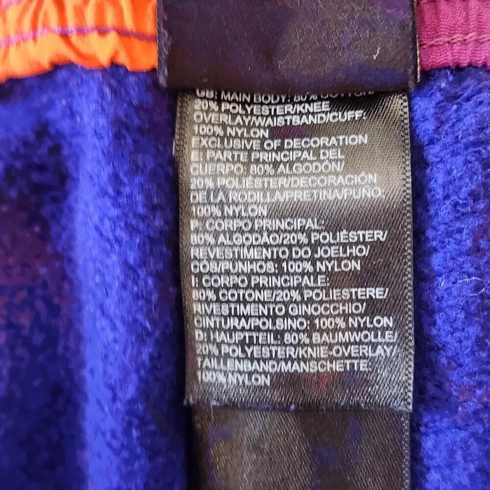 The North Face Rage Pants Mens Medium Blue Fleece Joggers Hiking Colorblock
